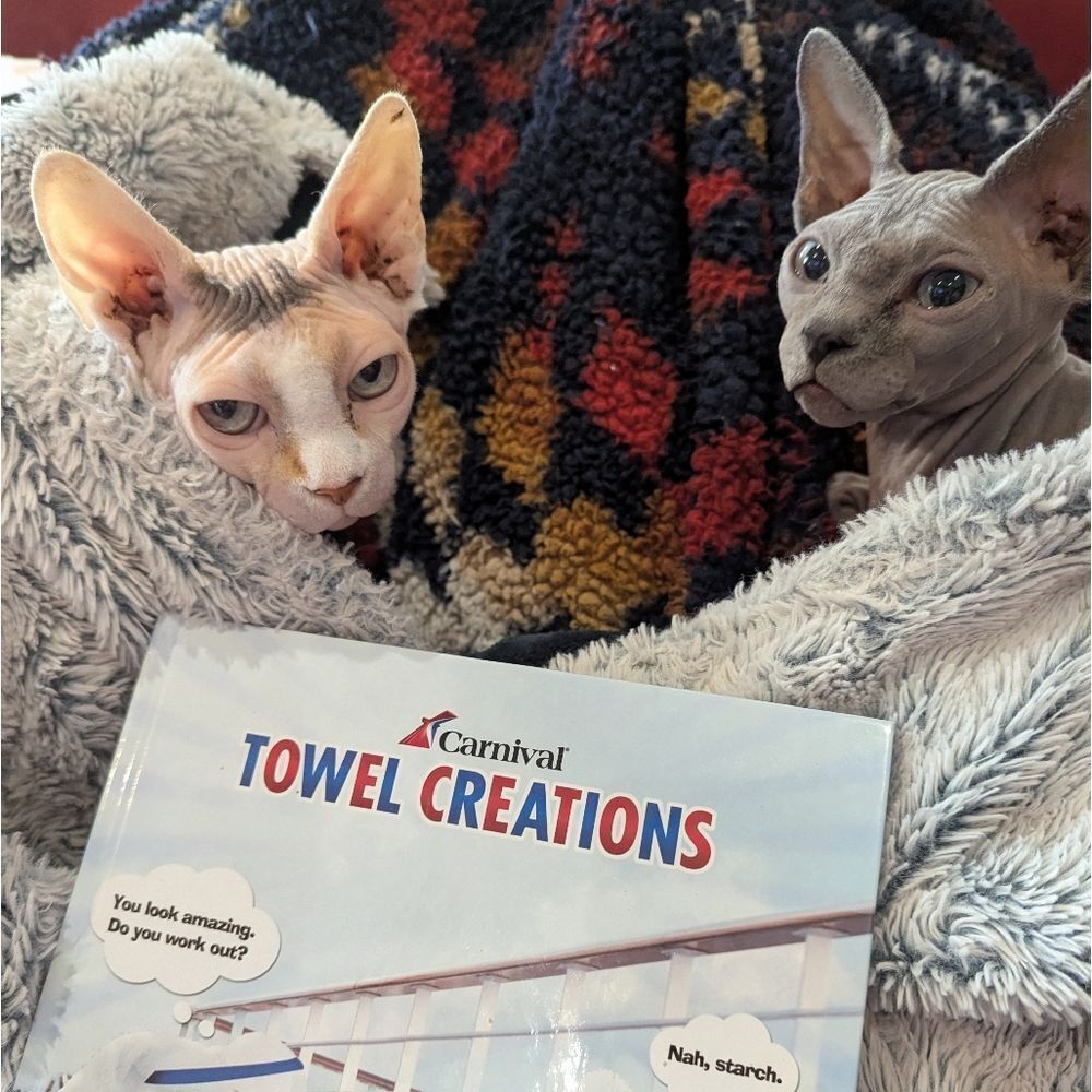 5/25 Carnival Cruise Towel Creations Towel Folding Book